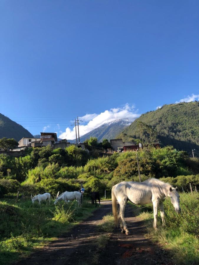 Premium Holiday Cabin - Spectacular Tungurahua Volcano View Baños Dış mekan fotoğraf